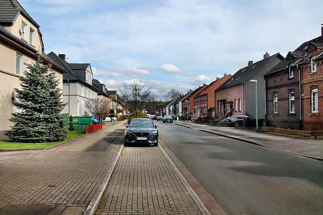 Rahmdörne (Essen-Altenessen) / 2.03.2024