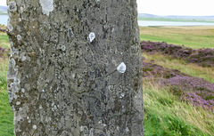 Ring of Brodgar