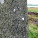 Ring of Brodgar