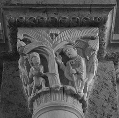 Vézelay, Saint Martin et l'arbre des païens.