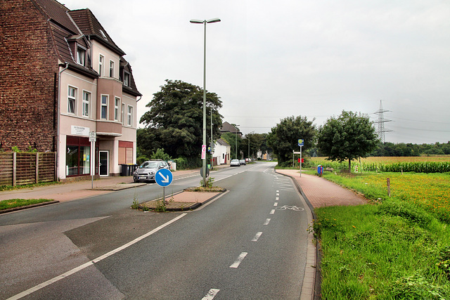 Dinslaker Straße (Duisburg-Wehofen) / 16.07.2017