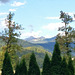 Lake Bohinj