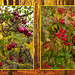 Autumn Fruits (2 x PiPs)