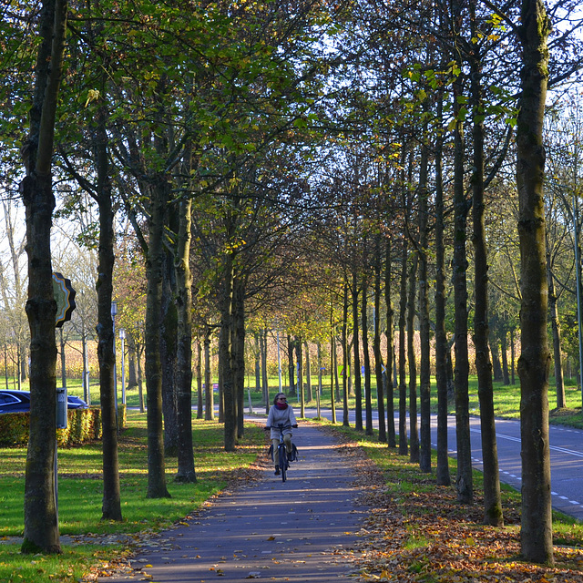 Lonely bycicle