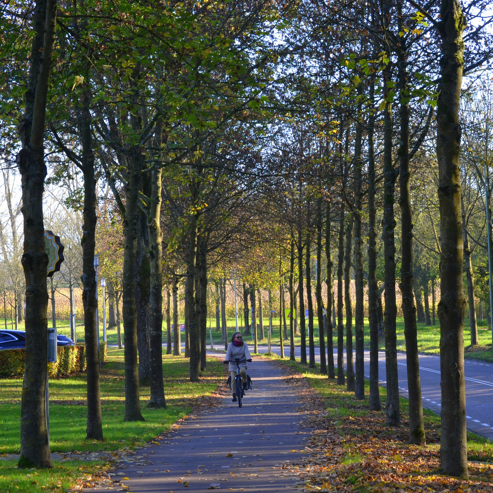 Lonely bycicle