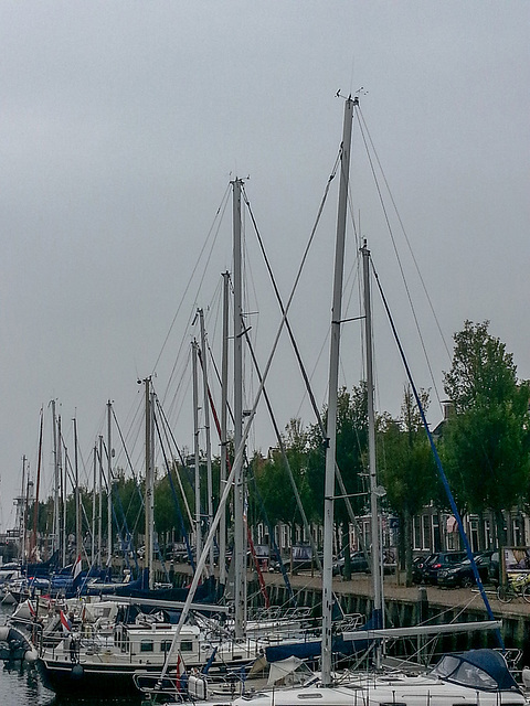 20140906 007Hw [NL] Harlingen (Terschelling)