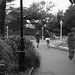 People strolling in the Howard Davis Gardens