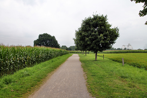 Zum Möllenbruckshof (Duisburg-Wehofen) / 16.07.2017