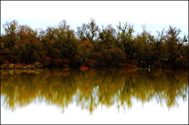 Herbstklarheit