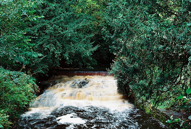 Water over the Weir