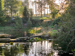 The Japanese Garden at the Burgie Arboretum