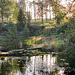 The Japanese Garden at the Burgie Arboretum