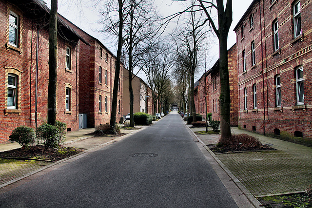 Hohendahlstraße (Essen-Altenessen) / 2.03.2024