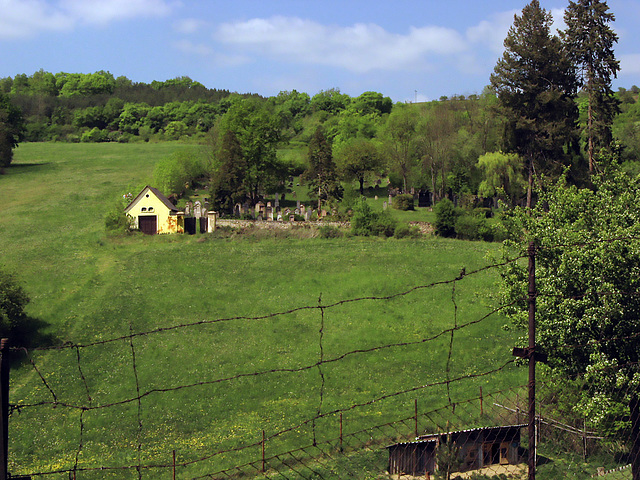 Old abandoned Jewish cemetery of  Tmañ -  Czech Republic