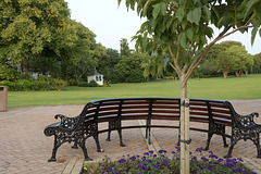 HBM ~ A bench of many views and sounds.