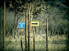Park that way. No, go that way!