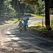 Ridin' with Dad, 2008