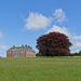 Uppark House and Copper Beech
