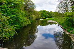 River reflections