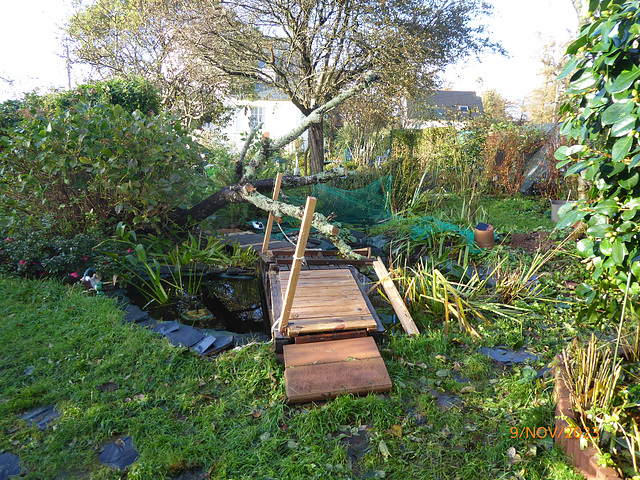 le jardin une semaine après l'ouragan 1/5