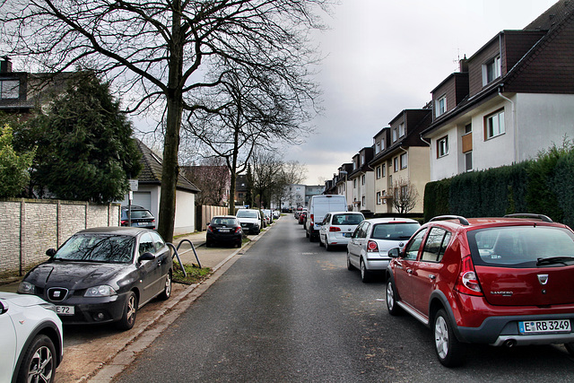 Stapenhorststraße (Essen-Altenessen) / 2.03.2024