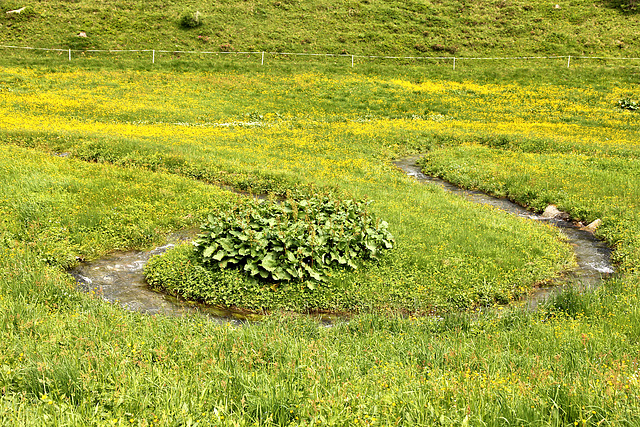 Altfasstalbach