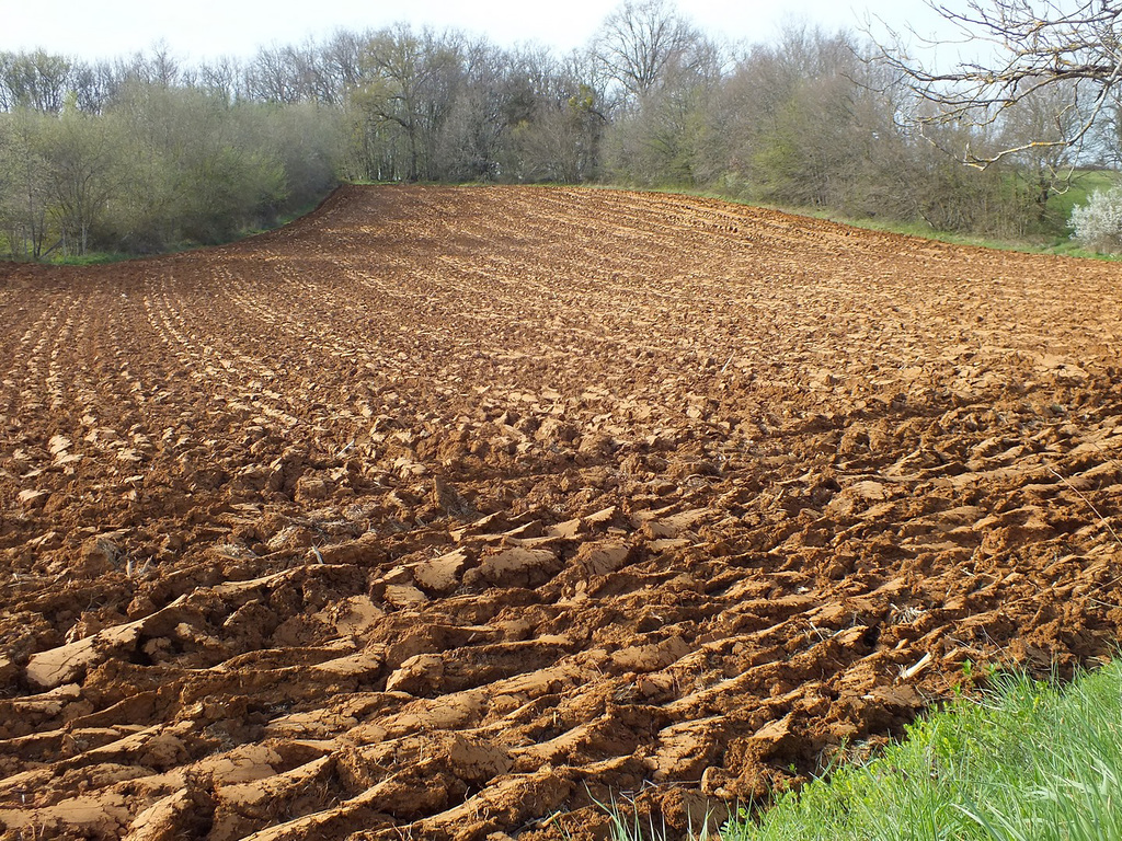 Terre de Dordogne