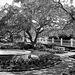 Prescott Park Formal Gardens