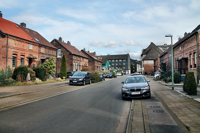 Rahmdörne (Essen-Altenessen) / 2.03.2024