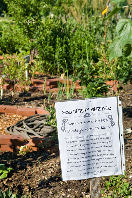 Solidarity Garden