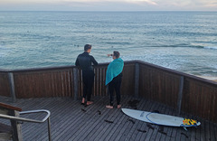 Logans Beach surfies