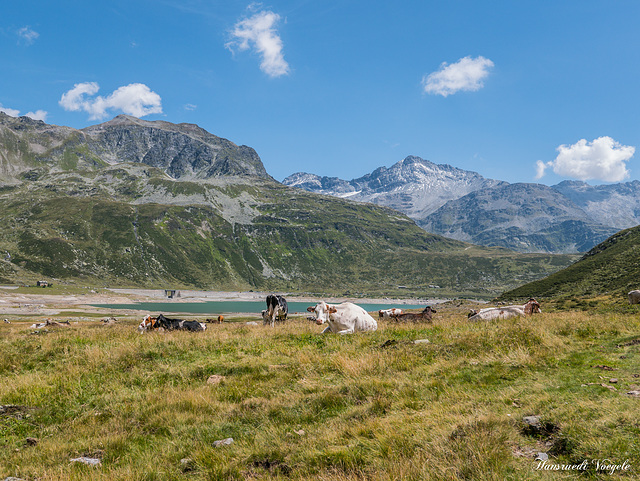 Blick auf den Lago di Stuetta