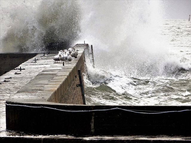 dans la tourmente,,,