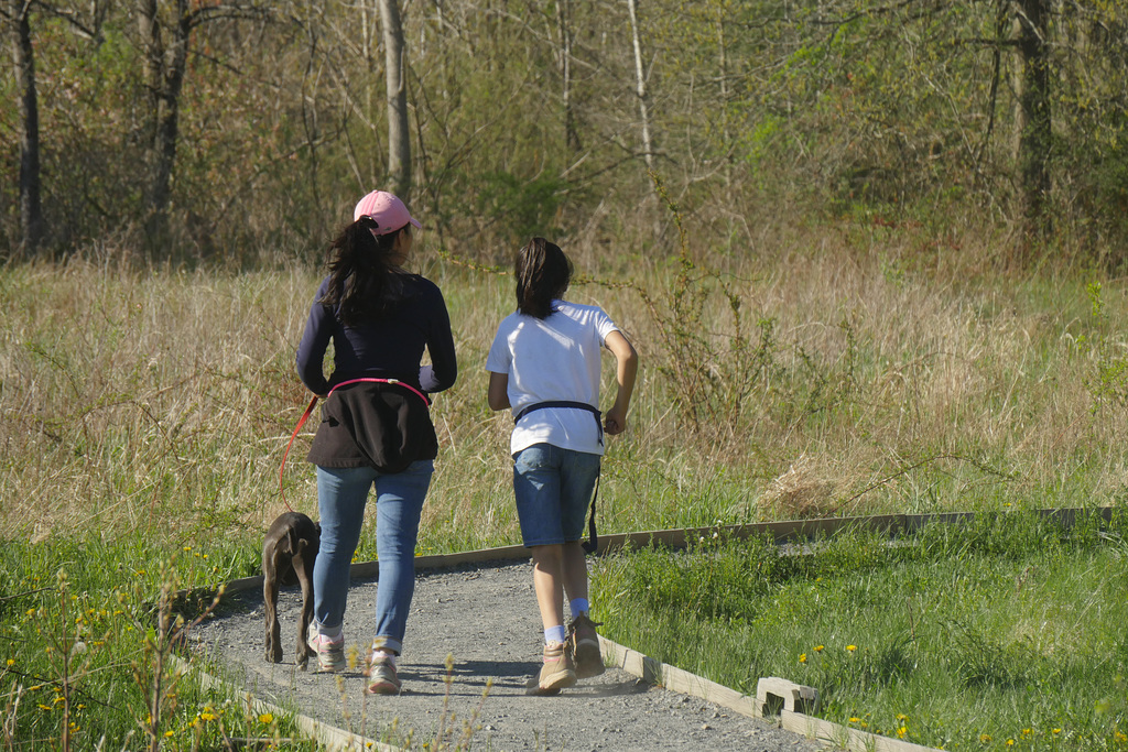 Spring Walk, Fast-mo