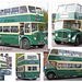 Maidstone & District 1956 AEC Regent Uckfield 24 9 2022