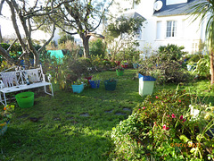 le jardin une semaine après l'ouragan 3/5 le jardin une semaine après l'ouragan 3/5