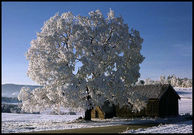 Winterlandscape - 1972