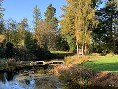 The Japanese Garden at the Burgie Arboretum