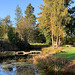 The Japanese Garden at the Burgie Arboretum