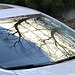 askew reflections