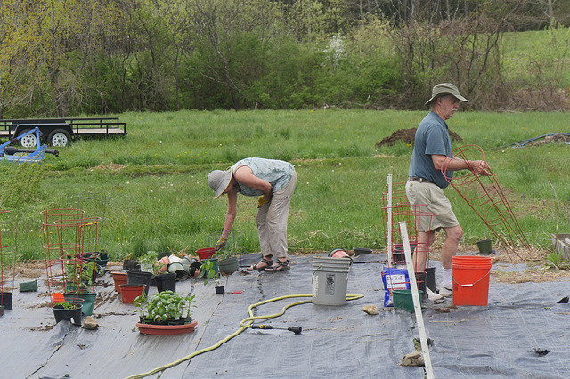 Putting in the Garden