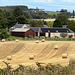 The barley has been harvested