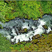 Geiranger : nel verde scorre tumultuoso il torrente Geirangelva