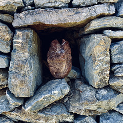 Portal