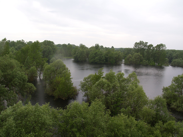 Разлив Десны / Desna River