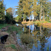 The Japanese Garden at the Burgie Arboretum