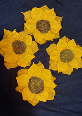 felt sunflowers (brooches)