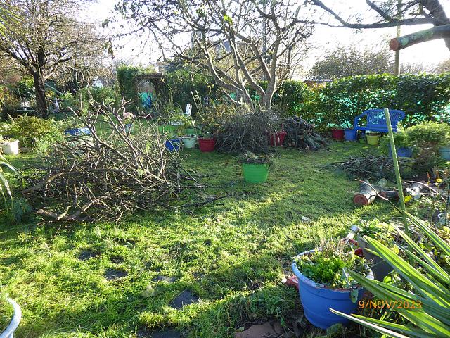 le jardin une semaine après l'ouragan 5/5