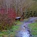 Swallow’s Wood low bridge