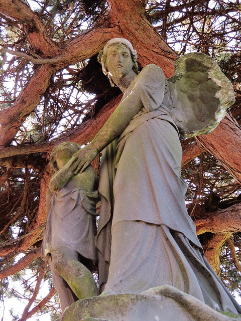 paddington cemetery, brondesbury, london